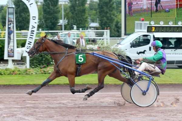 COMTESSE DE LATZ
