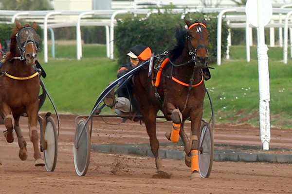 CLASS DE BANVILLE