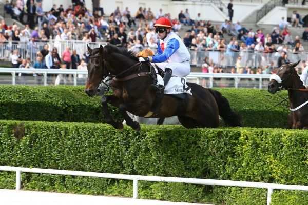 SAINT LINO