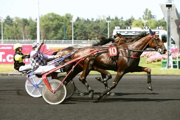 Dustin Des Charmes 