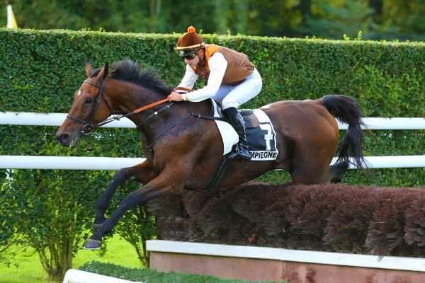 STAR D'ESTRUVAL