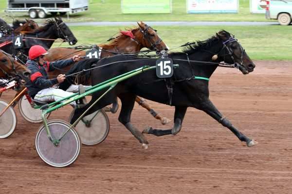 CABOTIN DU BOCAGE