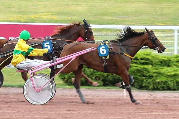 CHERIE FOLLE