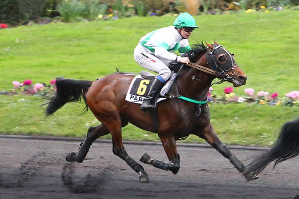 CRACK D'ARIANE