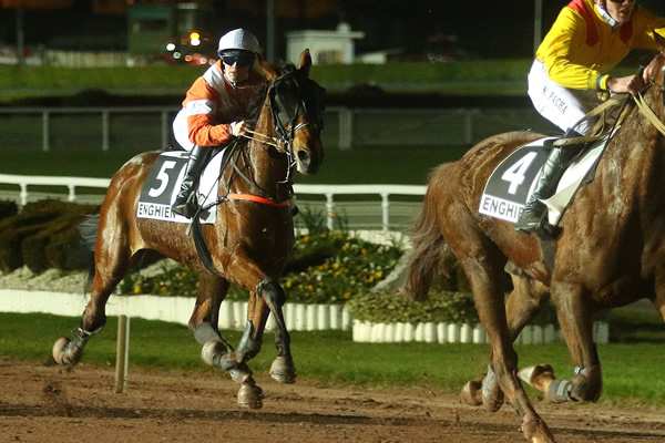 BELINDA DES CHAMPS