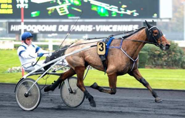 UN REVE D'HAUFOR
