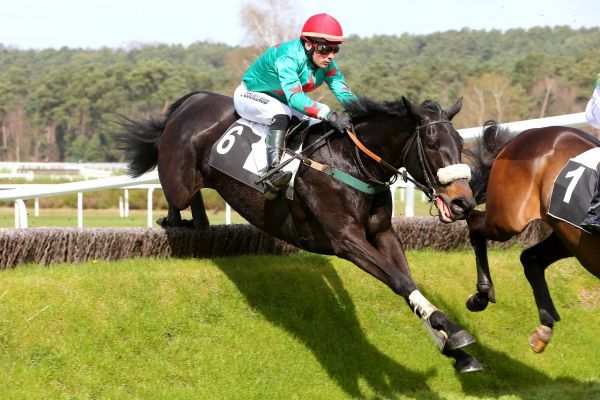 APRIKA D'ANJOU