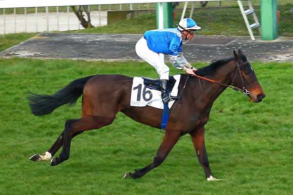 SAFARI D'EVAILLE