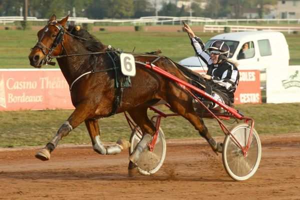 ALISTER DU SURET