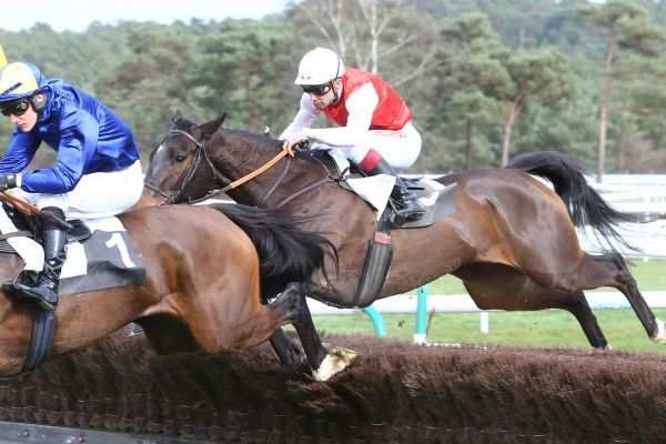 POPSTAR DU BERLAIS
