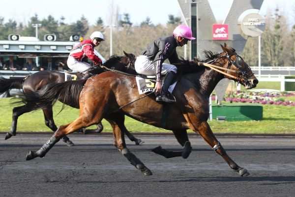 Prix Henri Desmontils 2016