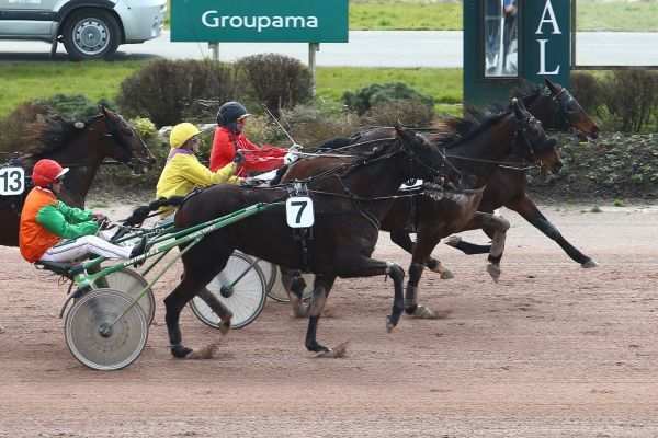 Vignia La Ravelle
