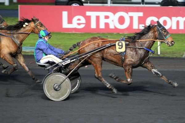 Ce Bello Romain