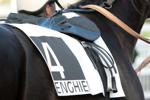Enghien Tapis Selle hippodrome de Paris-Vincennes, criterium des jeunes, quinté+ prix de Cornulier, ready cash, quinté plus nocturne, quinté+, quinté plus, pronostic