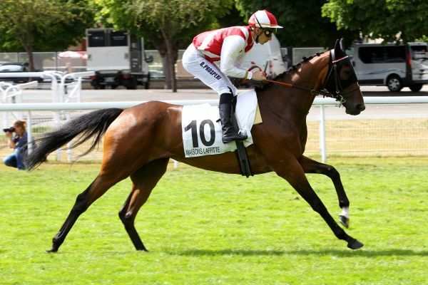 DEAUVILLE SHOWER