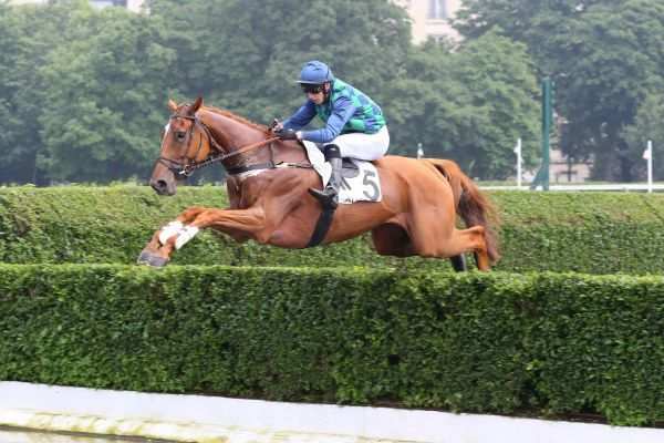 Galop Marin