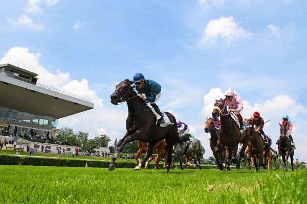 Sant'Amanza PRIX DES LANDES SAINT-CLOUD