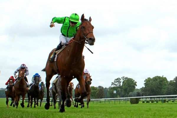 Vadanor PRIX LES MASTERS DE FEU DE COMPIEGNE
