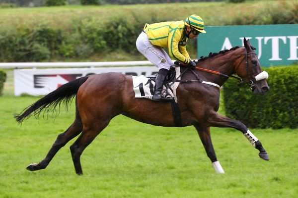 STAR DES VALOIS