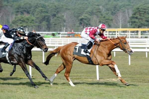 Blue Soave hippodrome de Saint-Cloud, rapports PMU, cotes PMU, zeturf, betclic, quinté plus nocturne, quinté+, quinté plus, pronostic