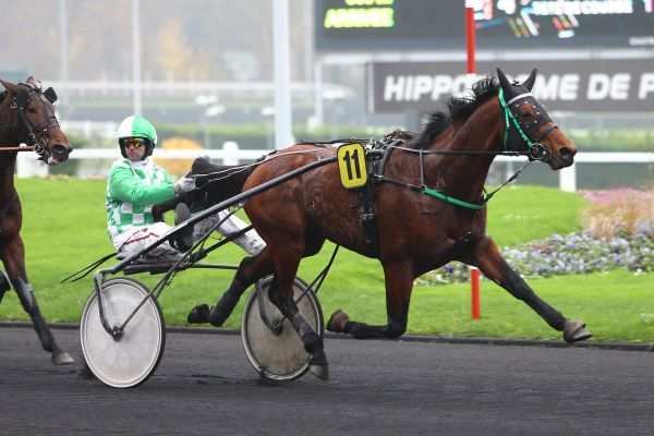ALBAN DU POITOU