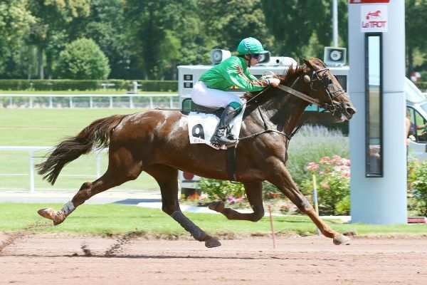 URZO DU CAP VERT