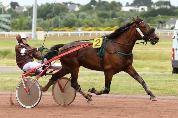 UROS ARVOR