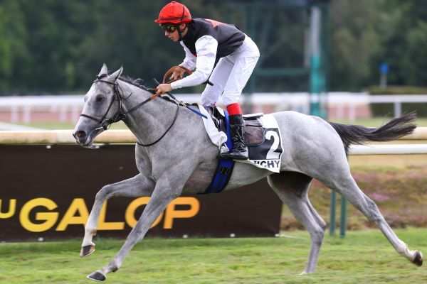 GREY MAGIC