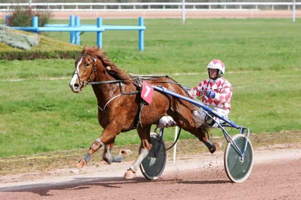 UN BON FILS