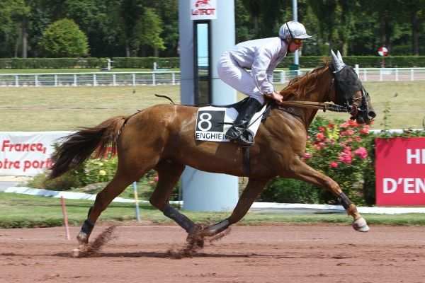 BILL DES COUPERIES