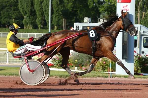 CINGALA NORMANDE