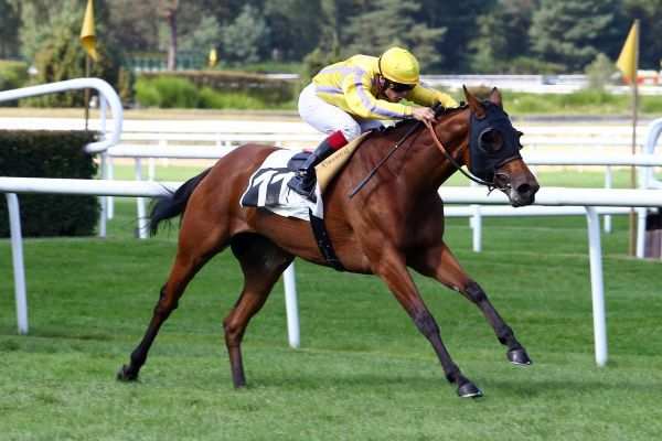 DAUPHINE DOREE