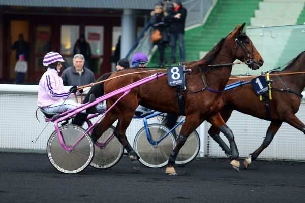 BELLONE SPECIALE
