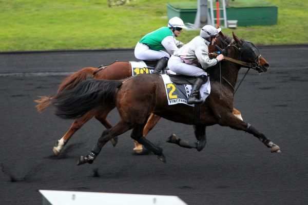 BOSS DE JAVIE