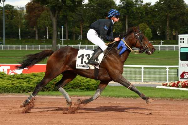 UT DE DOMPIERRE