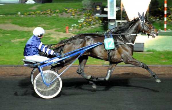 VIKING WINNER