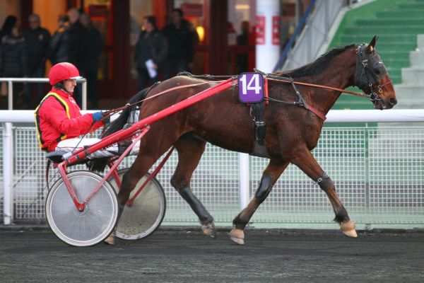 RITZ DU BOCAGE