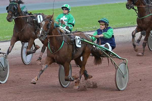 CELIA DU MINON