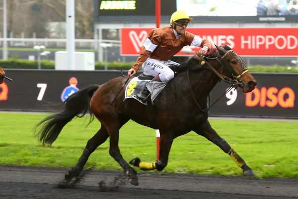 DUCHESSE DE SARTHE
