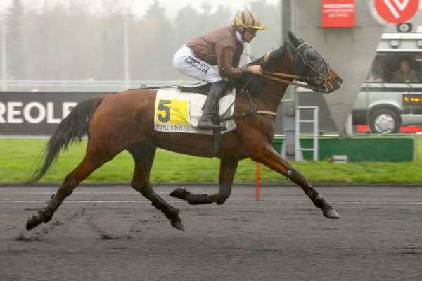EVASION GEMA