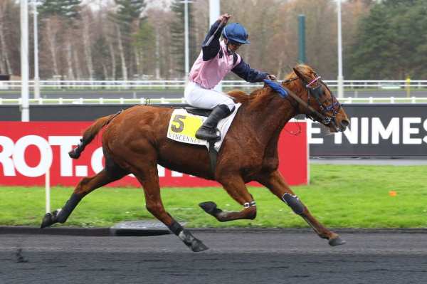 BRISE DES NOELS