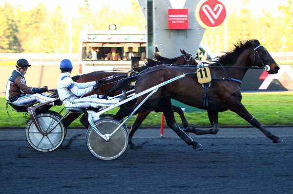 Bauloise Haufor Quinté+ PMU PRIX DE SALVANHAC à Paris-Vincennes