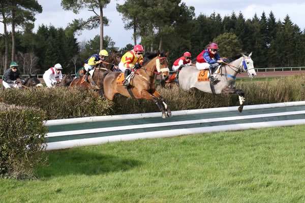 Maure De Bretagne Haies Steeple Chase Course