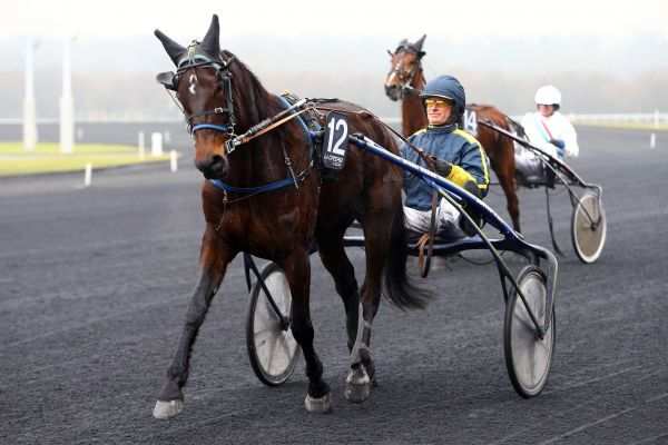 TALISKER HORSE