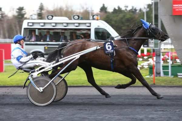 Alphea Barbes Quinté+ PRIX DE LA GIRONDE à Vincennes