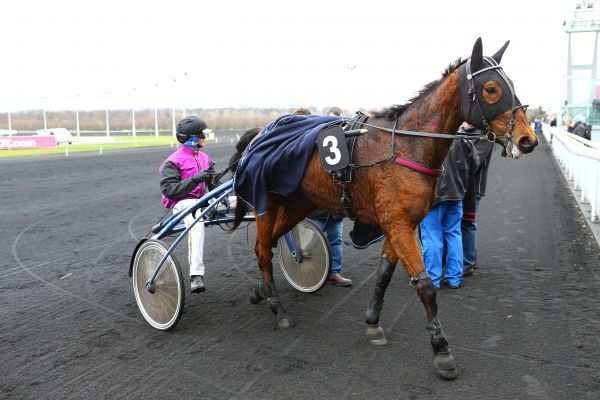 ETOILE DU VIVIER