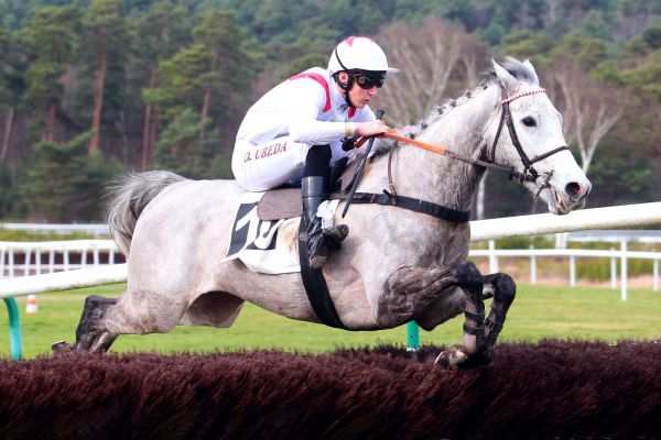 ALLEZ MALHERBE