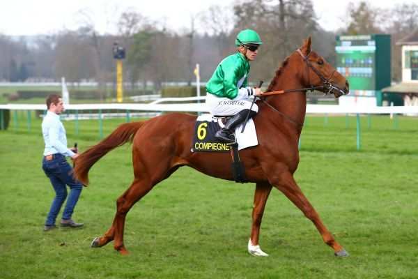 OPTIMIZER