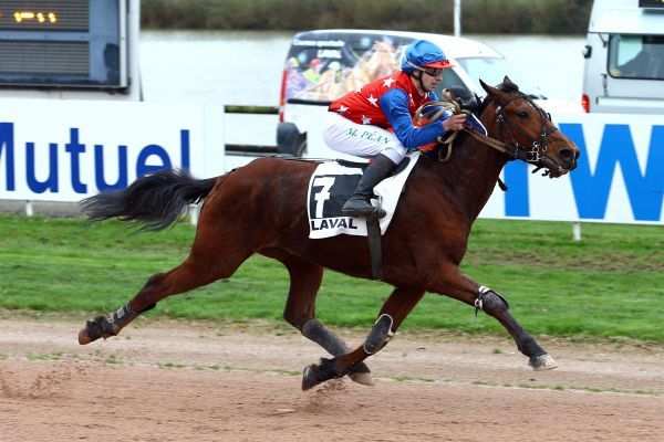 CHRIS D'OCCAGNES