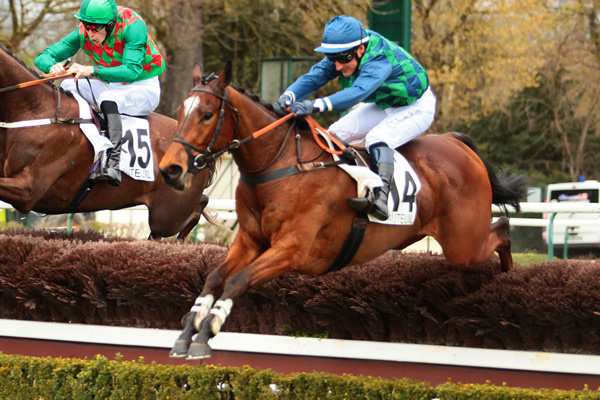 ECHIQUIER ROYAL